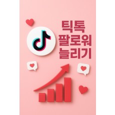 틱톡 팔로워 늘리기 (1,000명단위)